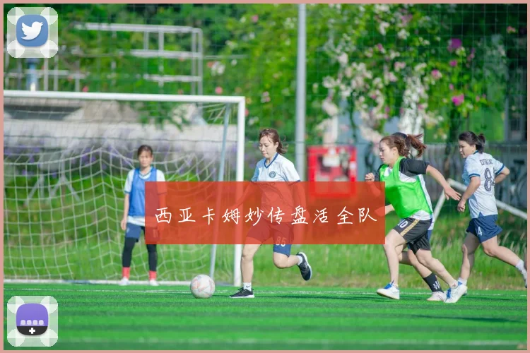 西亚卡姆妙传盘活全队