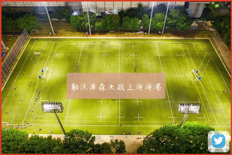 勒沃库森决战上海海港
