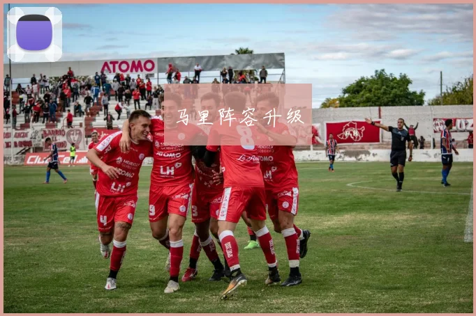 马里阵容升级