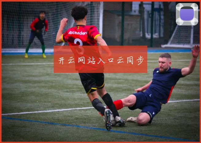 开云网站入口云同步
