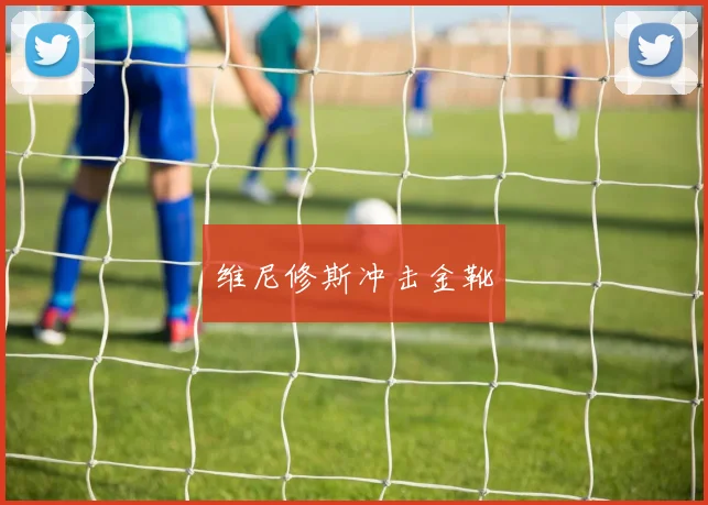 维尼修斯冲击金靴
