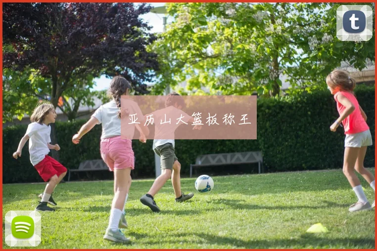 亚历山大篮板称王