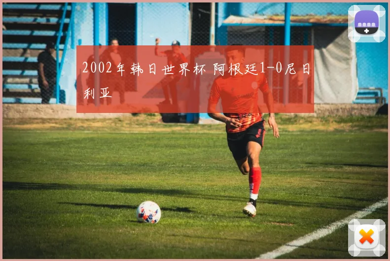 2002年韩日世界杯 阿根廷1-0尼日利亚