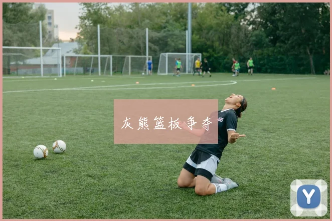 灰熊篮板争夺