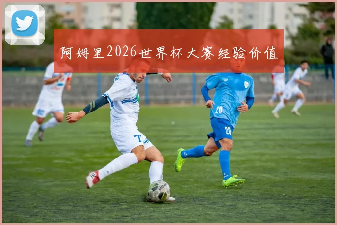 阿姆里2026世界杯大赛经验价值