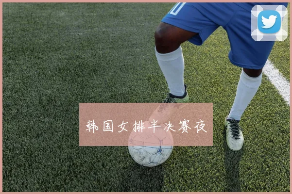 韩国女排半决赛夜