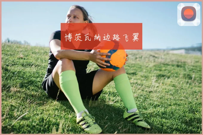 博茨瓦纳边路飞翼