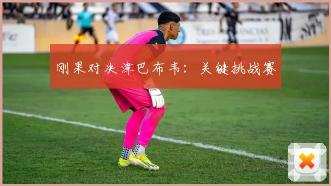 刚果对决津巴布韦：关键挑战赛
