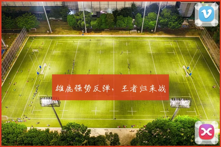 雄鹿强势反弹，王者归来战