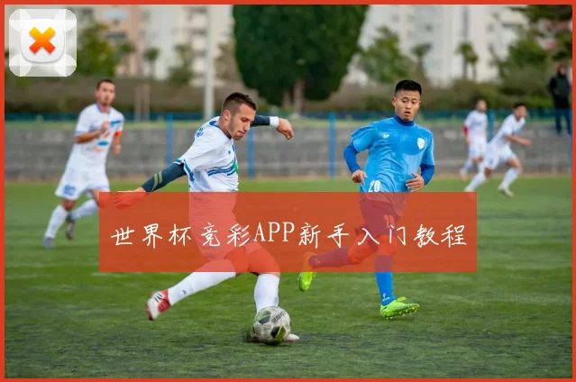 世界杯竞彩APP新手入门教程