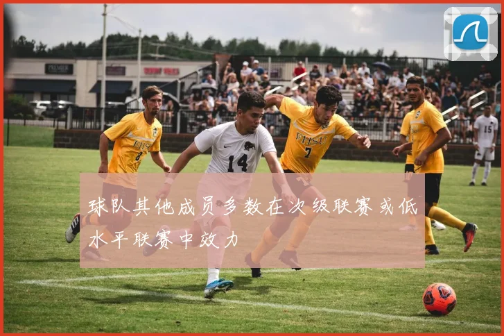 球队其他成员多数在次级联赛或低水平联赛中效力