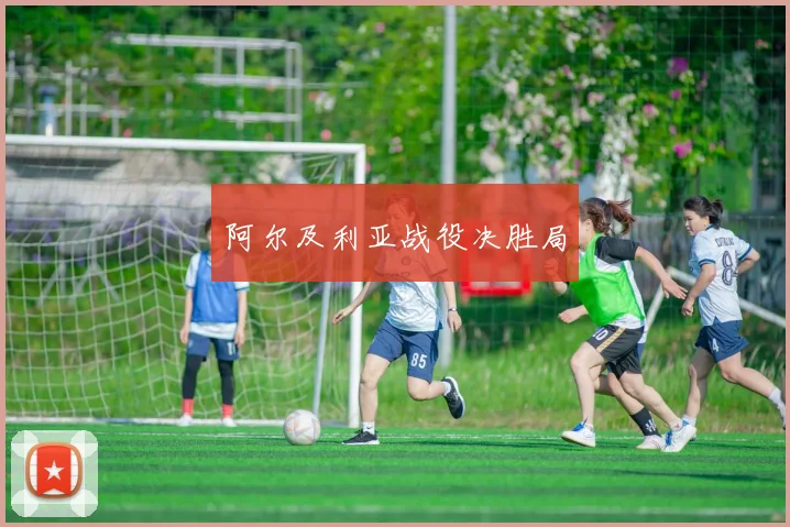 阿尔及利亚战役决胜局