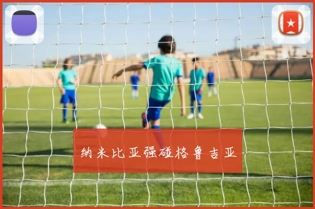 纳米比亚强碰格鲁吉亚