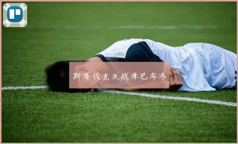 斯洛伐克决战津巴布韦
