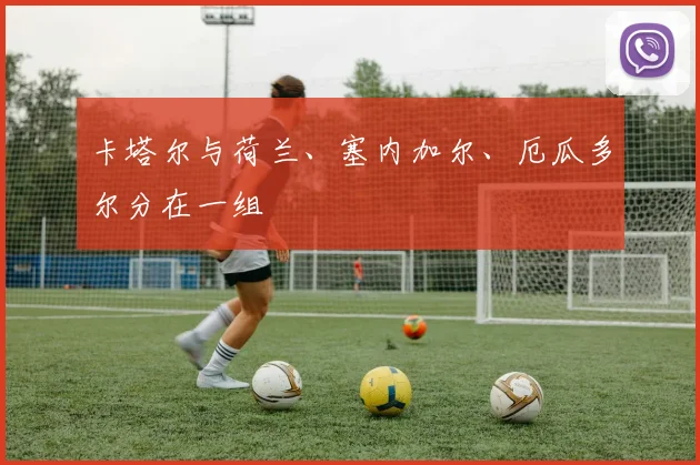 卡塔尔与荷兰、塞内加尔、厄瓜多尔分在一组