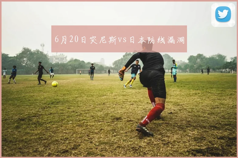 6月20日突尼斯vs日本防线漏洞
